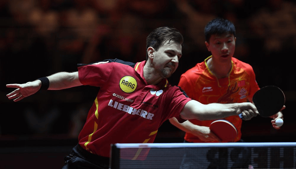 华体会网址-日本乒乓球队横扫德国乒乓球队,波尔打破历史纪录的简单介绍 第2张 华体会网址-日本乒乓球队横扫德国乒乓球队,波尔打破历史纪录的简单介绍 第2张