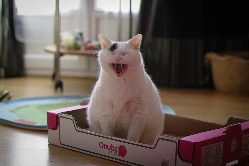 华体会登录-旧神黄昏与新神加冕，沙特资本横扫欧冠劲旅，托尼生涯之夜折射足坛变革  第1张