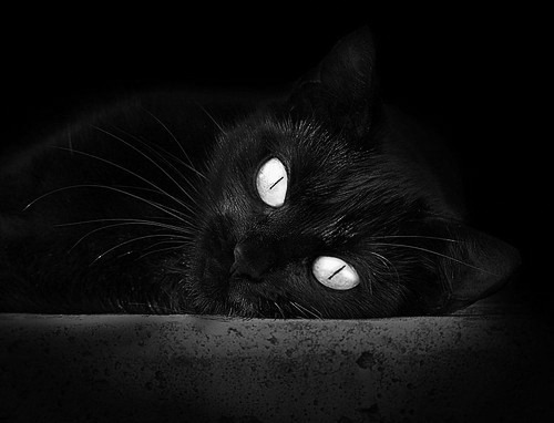 华体会体育-幽灵助攻，当佩德里出现在秘巴之战  第2张